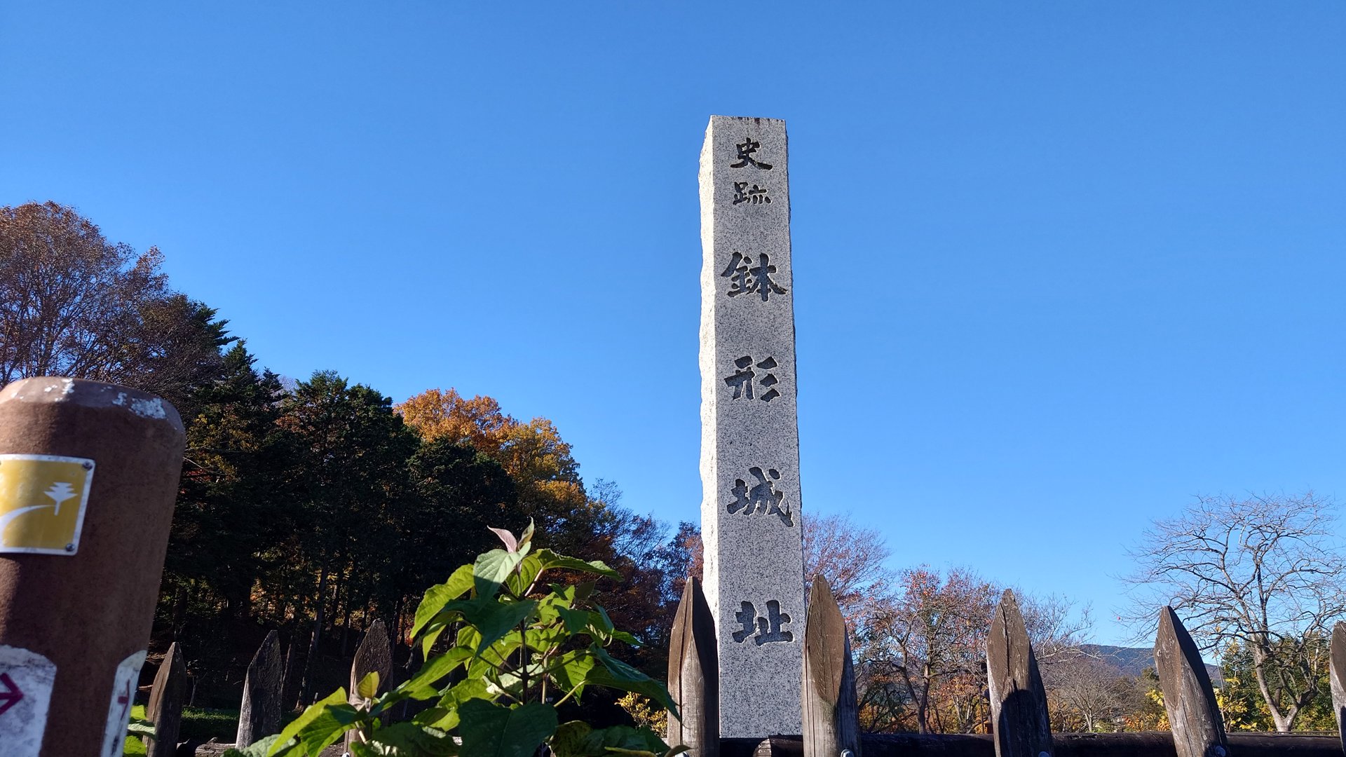 AndyHotDog 分享的打卡照片